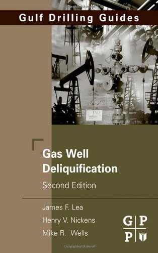 Gas Well Deliquification, Second Edition (Gulf Drilling Guides)