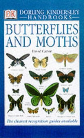 Butterflies And Moths