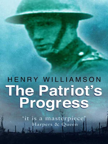 Henry Williamson and the First World War