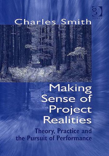 Making Sense of Project Realities