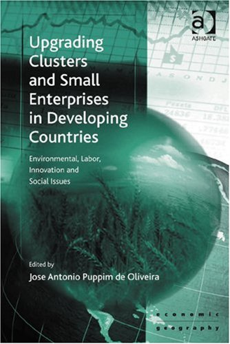 Upgrading Clusters and Small Enterprises in Developing Countries