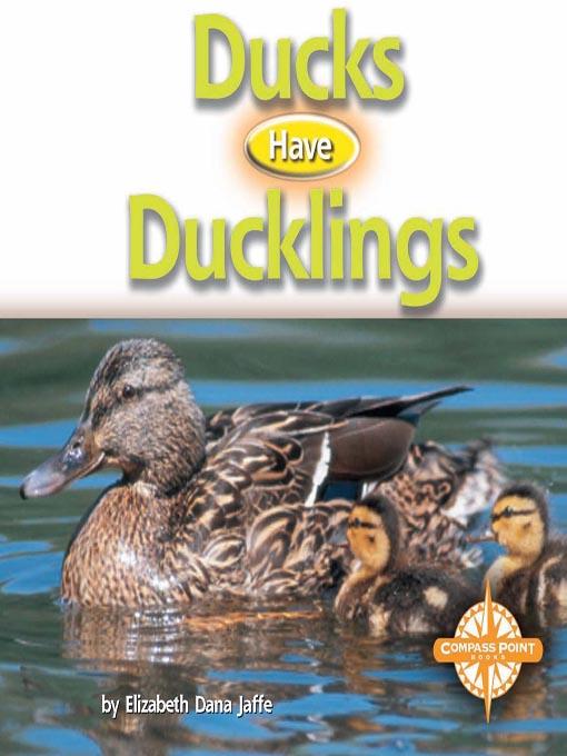 Ducks Have Ducklings