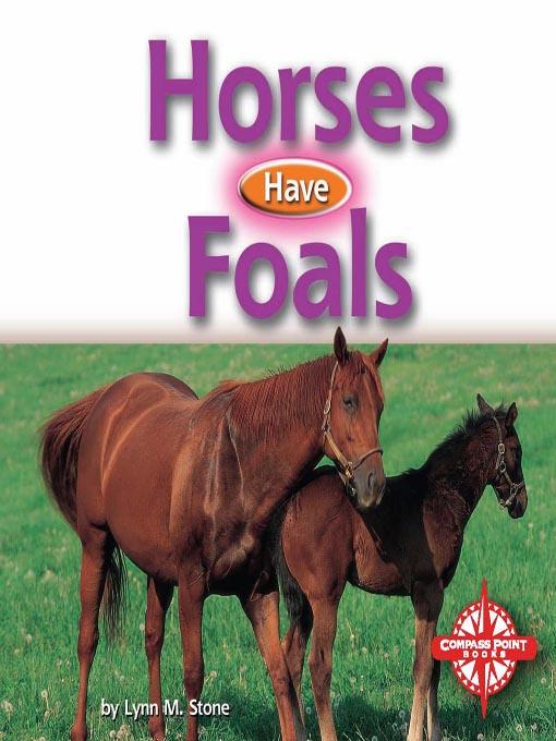 Horses Have Foals