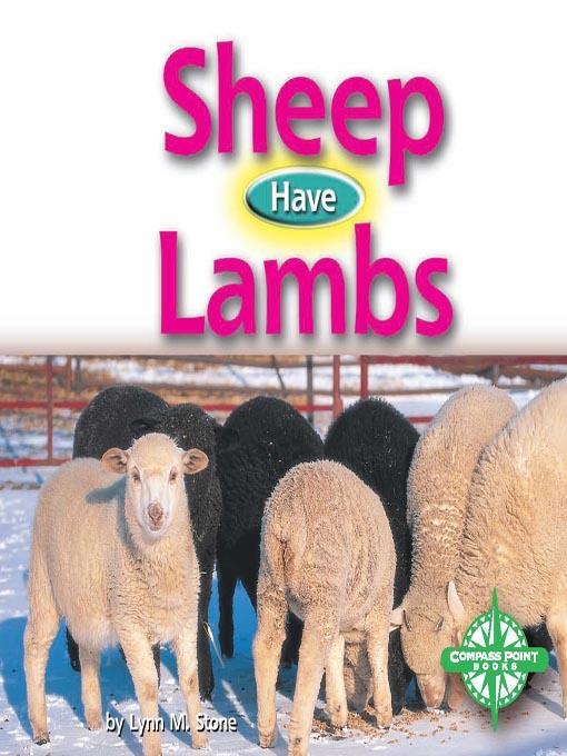 Sheep Have Lambs