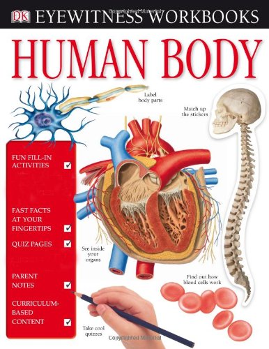 Human Body Workbook [With Stickers]