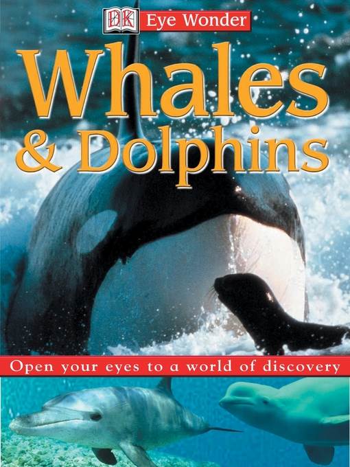 Whales and Dolphins