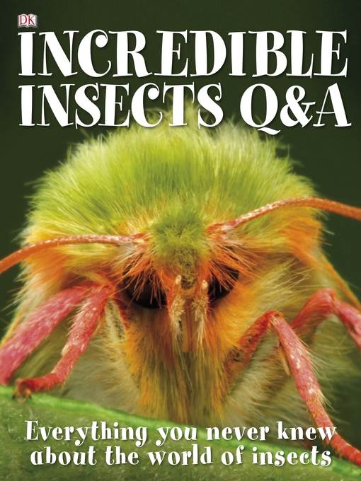 Incredible Insects Q and A