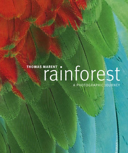 Rainforest