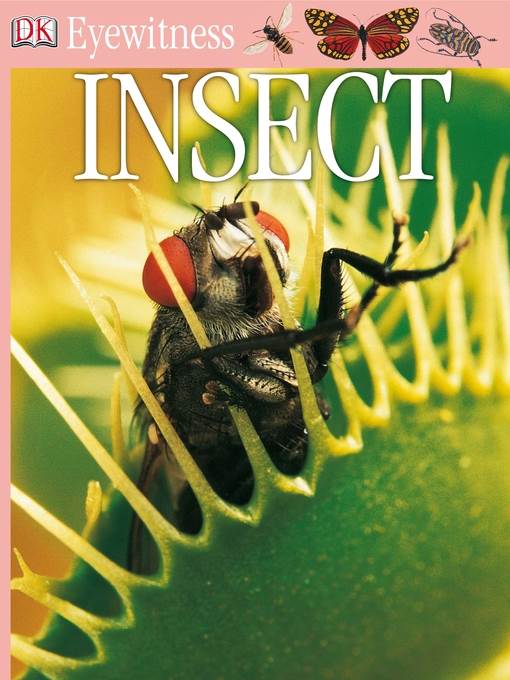 Insect