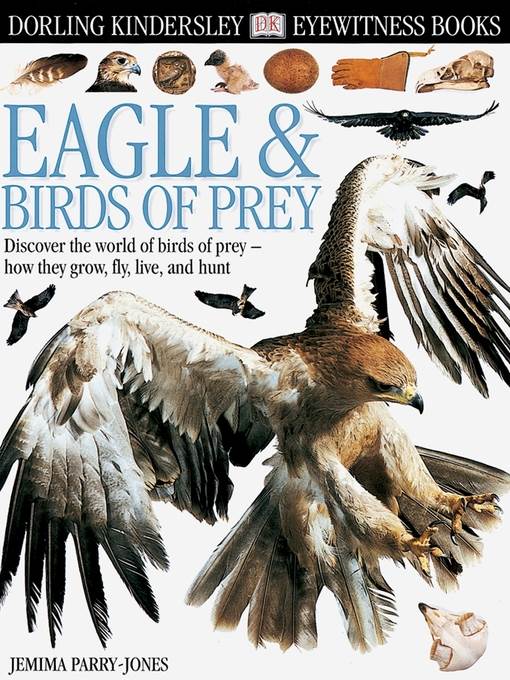 Eagle and Birds of Prey