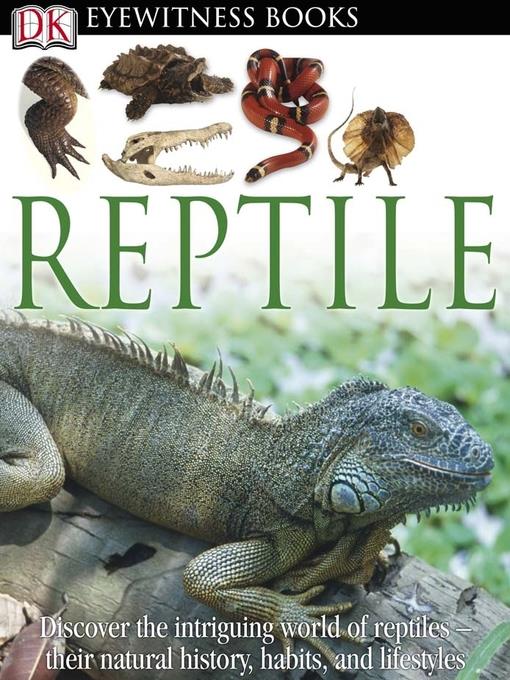 Reptile