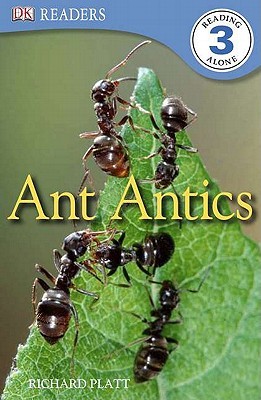 Ant Antics