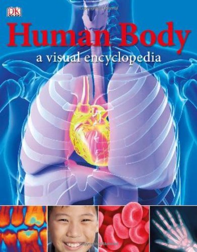 Human Body