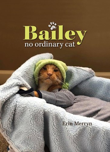 Bailey, No Ordinary Cat