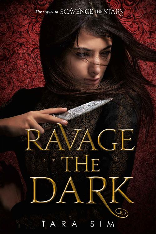 Ravage the Dark (Scavenge the Stars, 2)