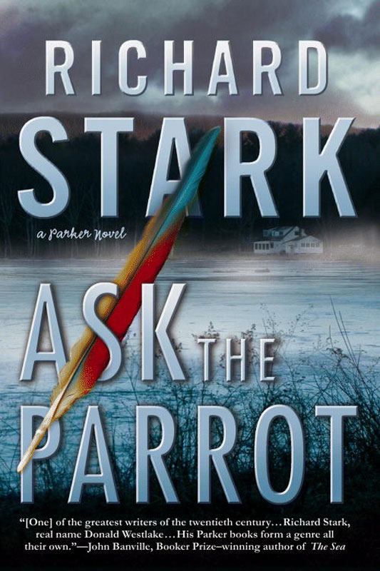 Ask the Parrot