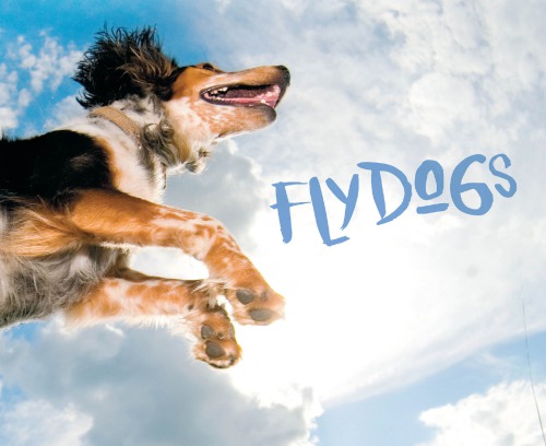 Flydogs