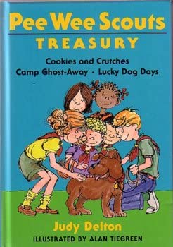 Pee Wee Scouts treasury