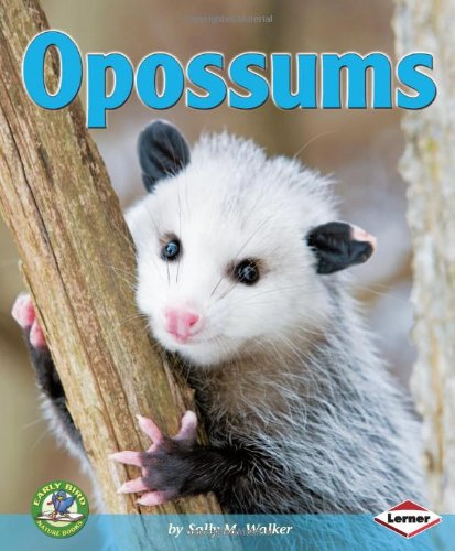 Opossums