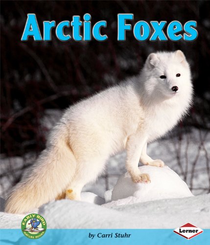 Arctic Foxes