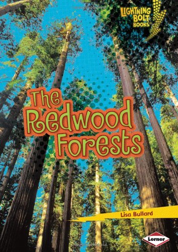 The Redwood Forests