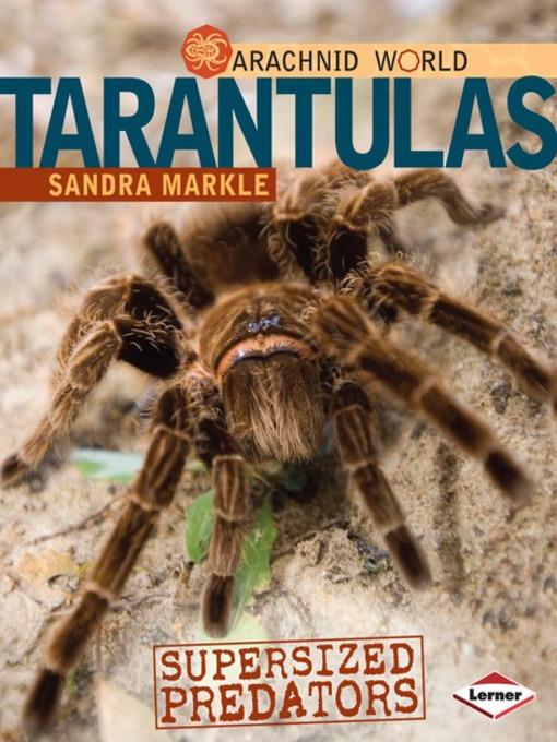 Tarantulas