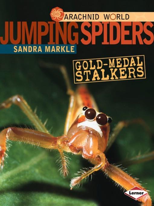 Jumping Spiders