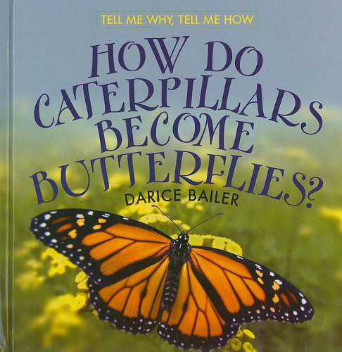 How Do Caterpillars Become Butterflies?