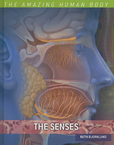 The Senses