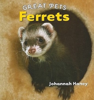 Ferrets