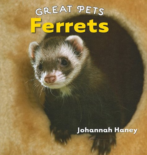 Ferrets