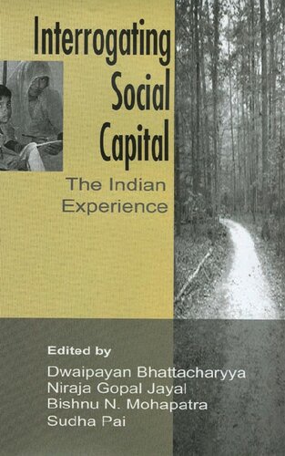 Interrogating Social Capital