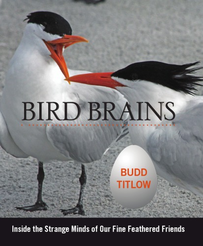 Bird Brains