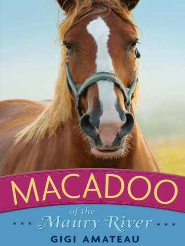 Macadoo