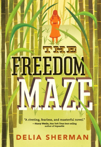 The Freedom Maze