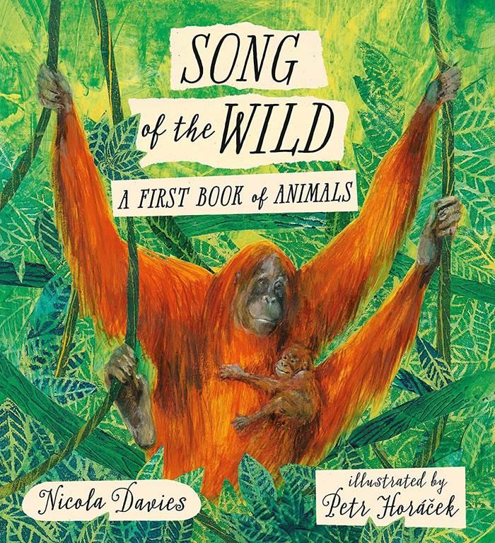 Song of the Wild: A First Book of Animals