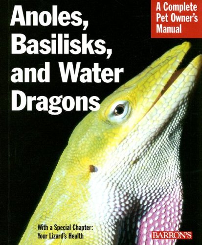 Anoles, Basilisks, and Water Dragons