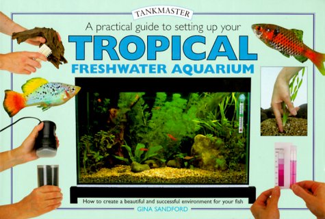 A Practical Guide to Setting Up Your Tropical Freshwater Aquarium