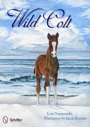 Wild Colt