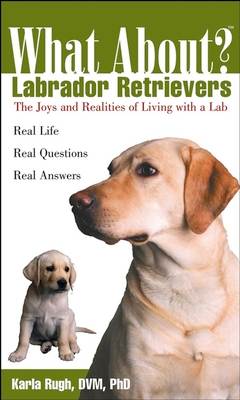 What About Labrador Retrievers