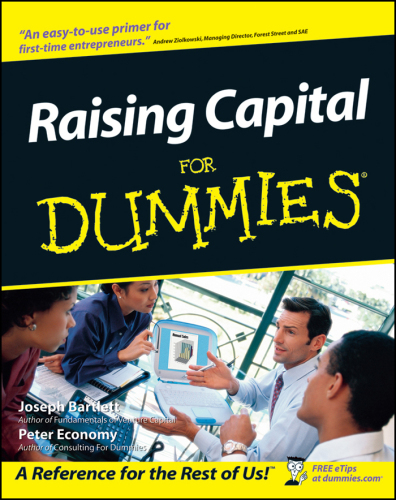 Raising Capital for Dummies