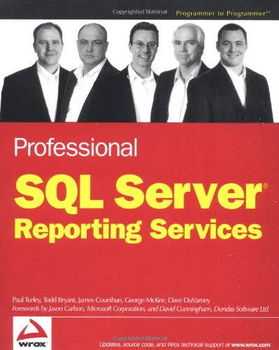 Professional Sql Server Reporting Services