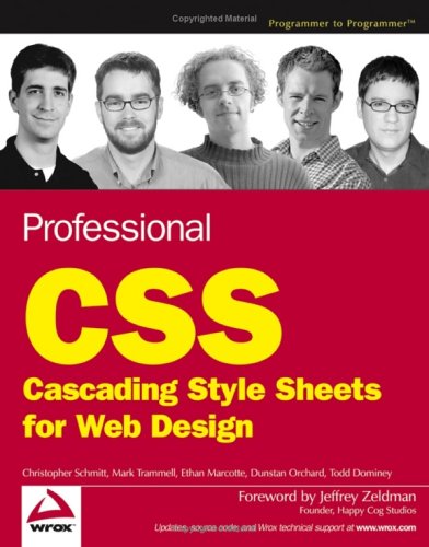 Professional CSS