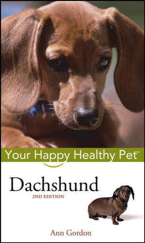 Dachshund