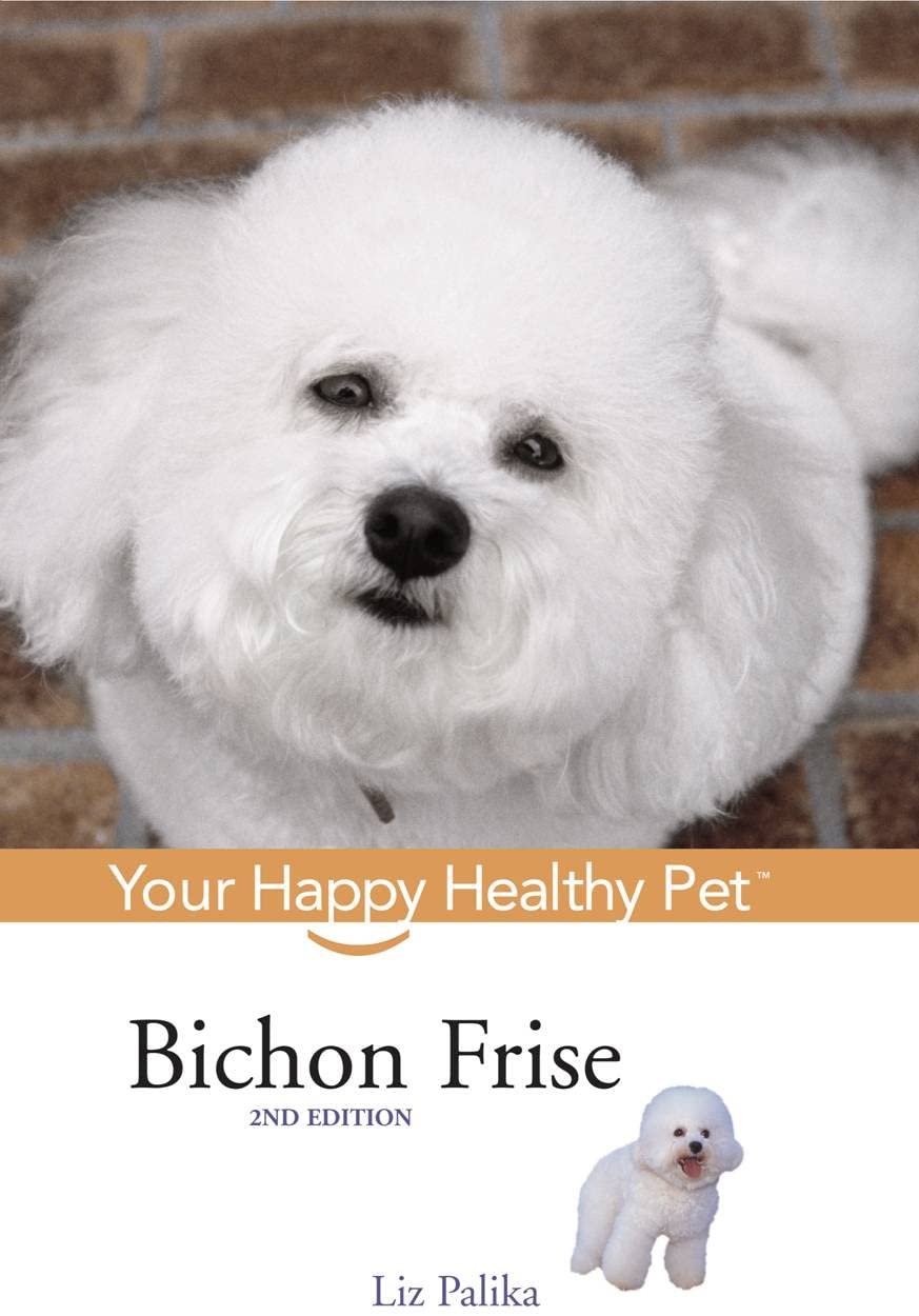 Bichon Frise