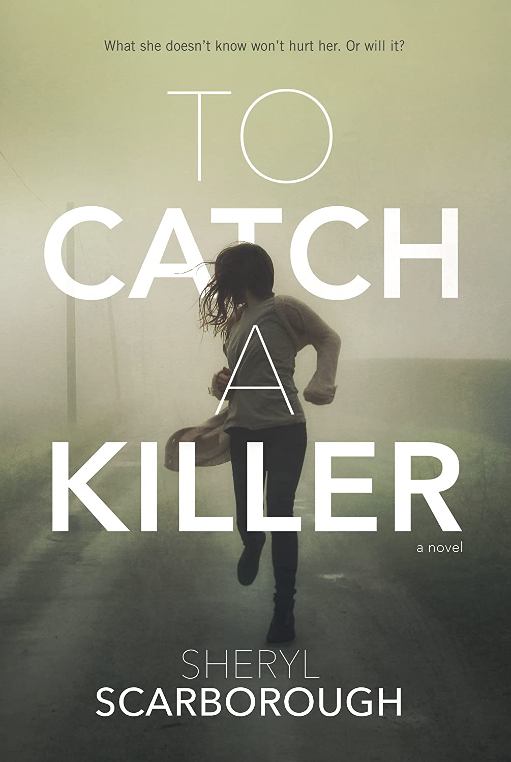 To Catch a Killer: A Novel (Erin Blake, 1)