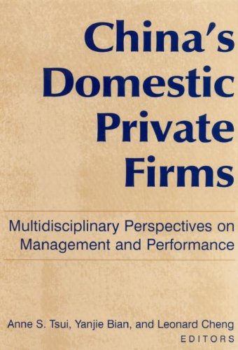 China's domestic private firms : multidisciplinary perspectives on management and performance