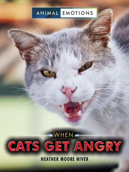 When Cats Get Angry