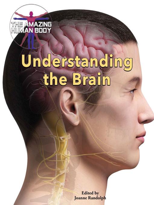 Understanding the Brain