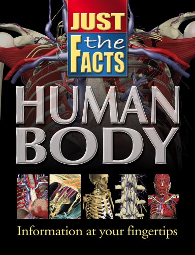 Just The Facts Human Body